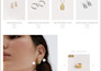 build a fast webflow website based on a premium template, cms structure, mobile